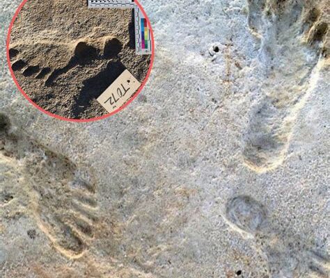 Ancient Footprints Rewrite Human Arrival in Americas!